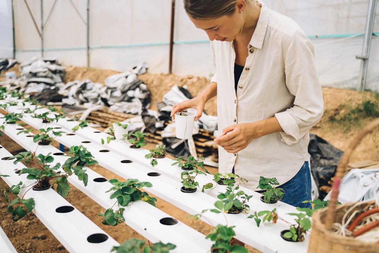 A woman in a greenhouse tending to a modern hydroponic garden, planting new seedlings.